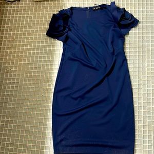 Royal blue Pierrot Brunlli Size extra small maternity dress. Never worn.